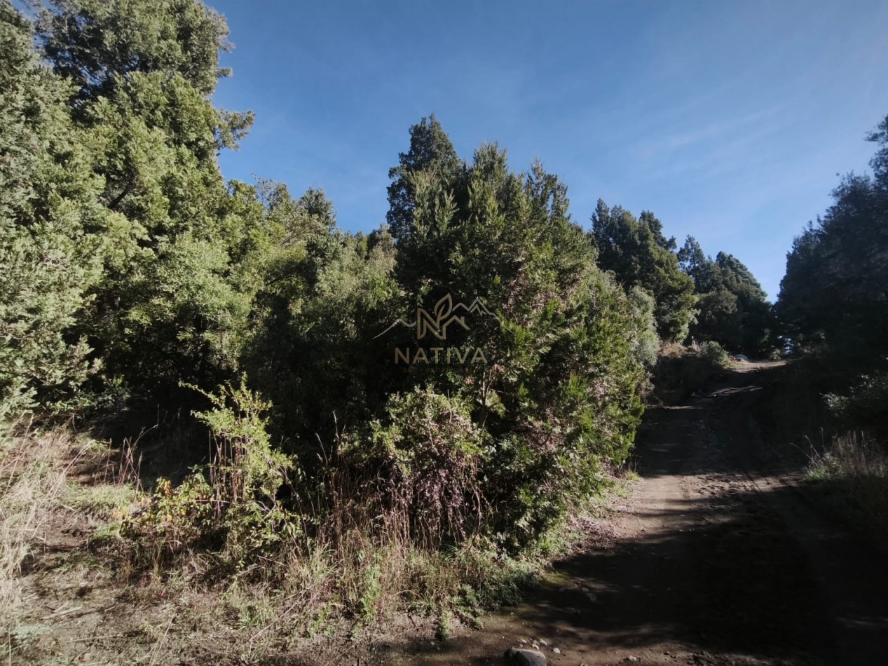 Lote en ladera Norte del Cerro Otto - Bariloche - venta